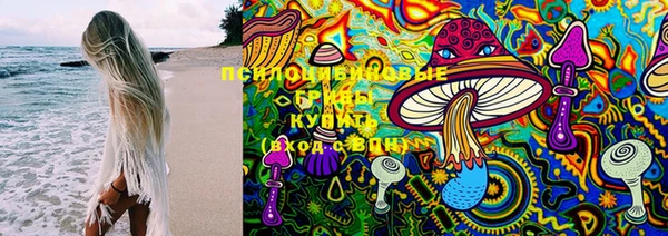 мет Снежногорск
