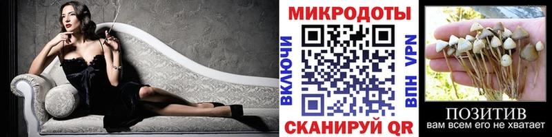 Псилоцибиновые грибы Psilocybe  Волжск 